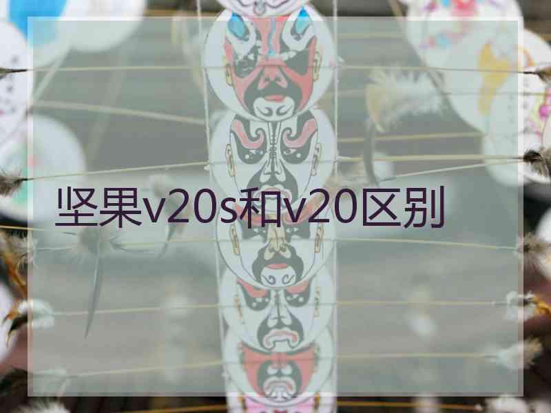 坚果v20s和v20区别