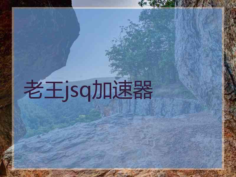 老王jsq加速器