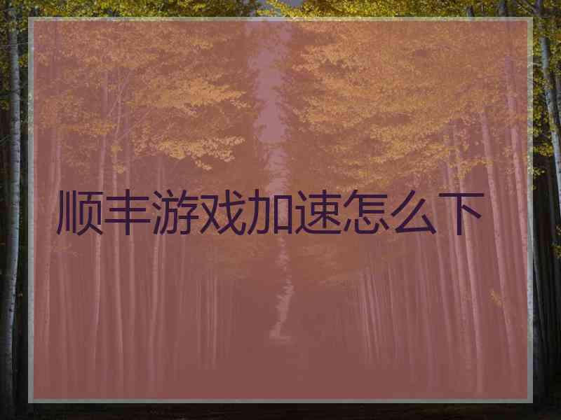 顺丰游戏加速怎么下