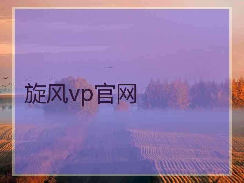旋风vp官网