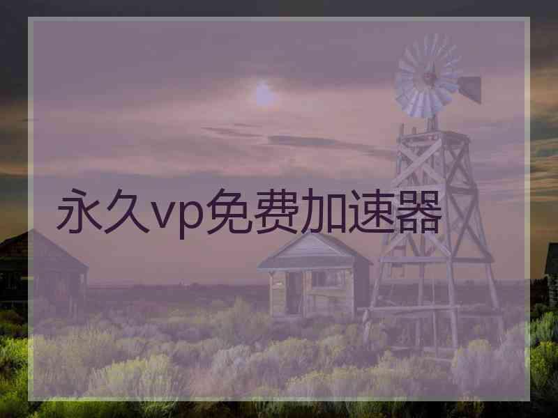 永久vp免费加速器