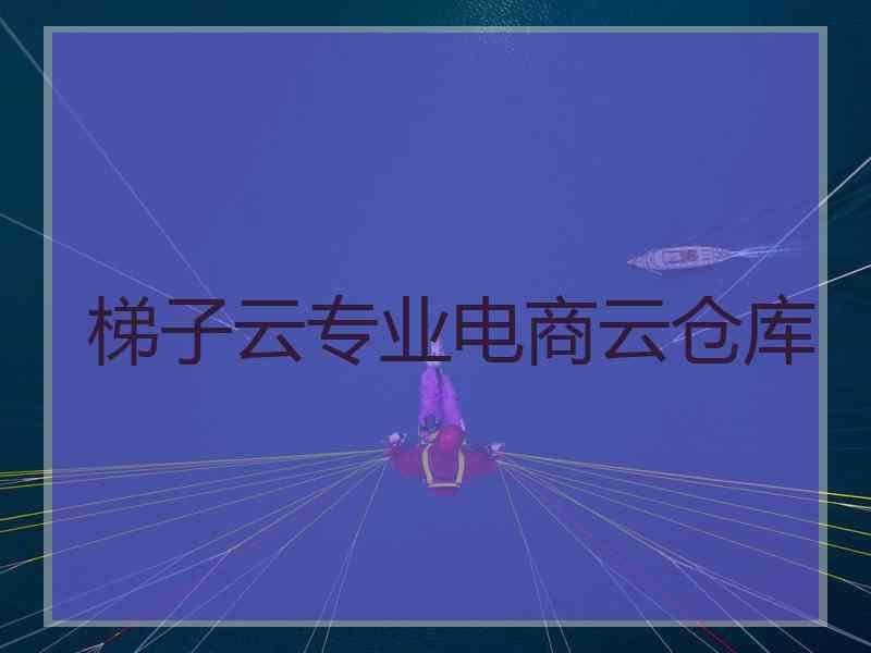 梯子云专业电商云仓库