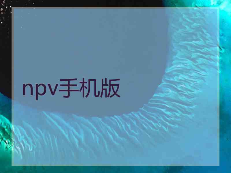 npv手机版