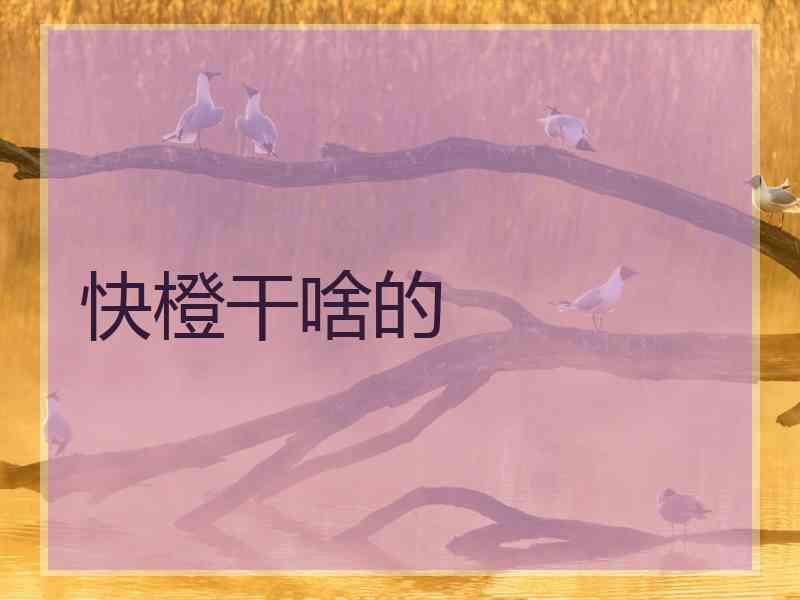 快橙干啥的