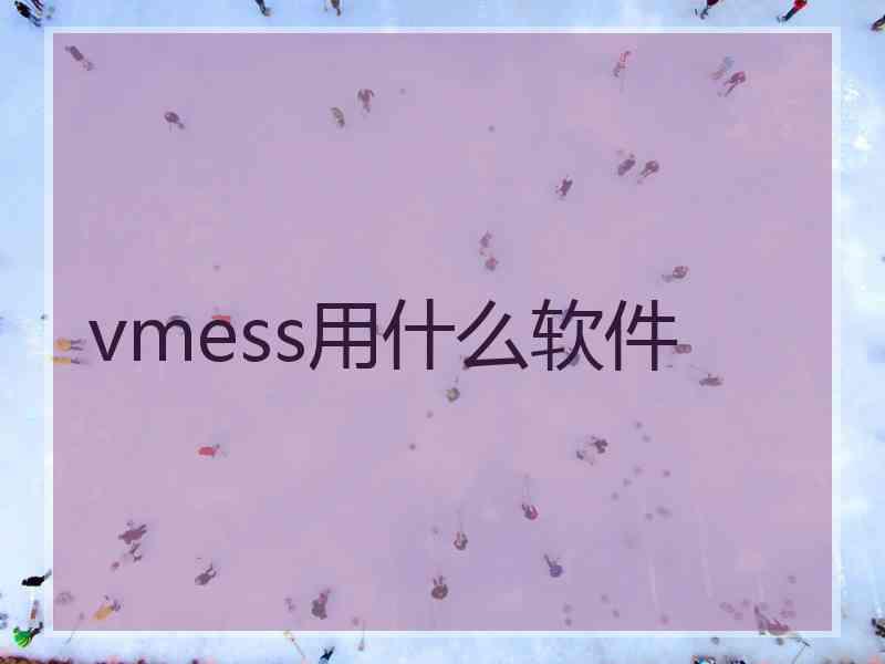 vmess用什么软件