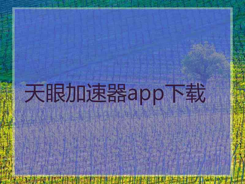 天眼加速器app下载