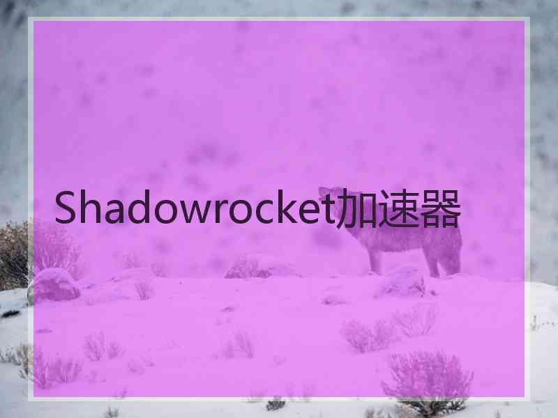 Shadowrocket加速器