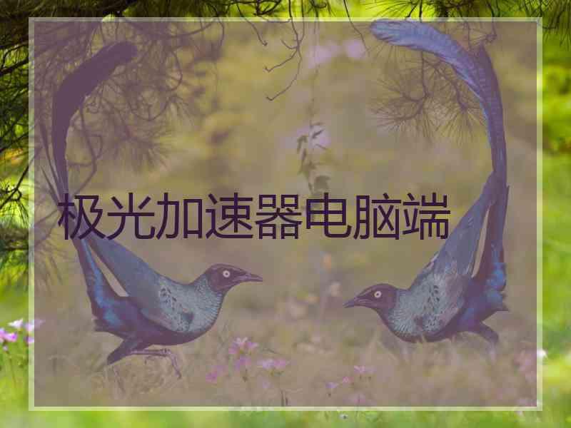 极光加速器电脑端