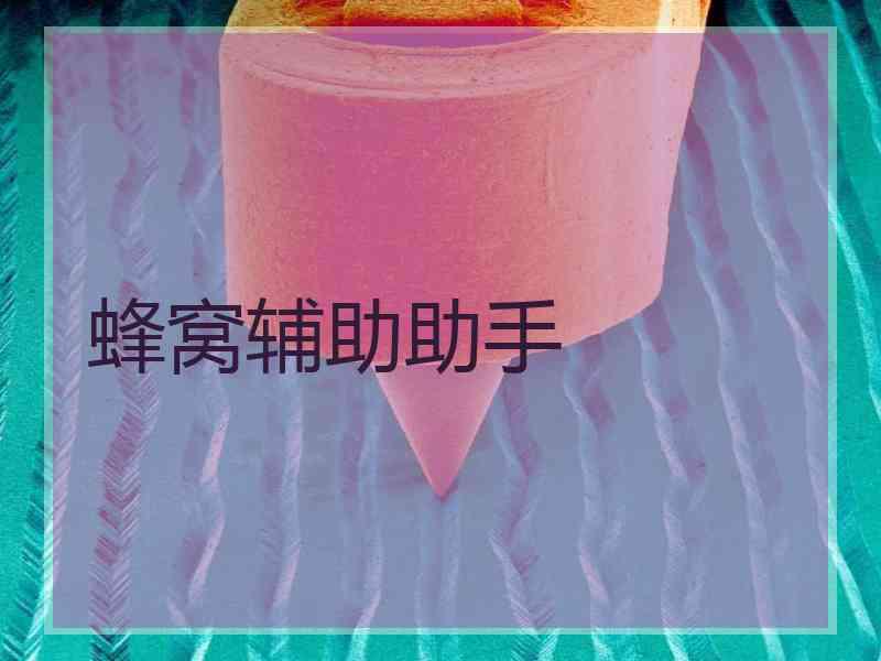 蜂窝辅助助手