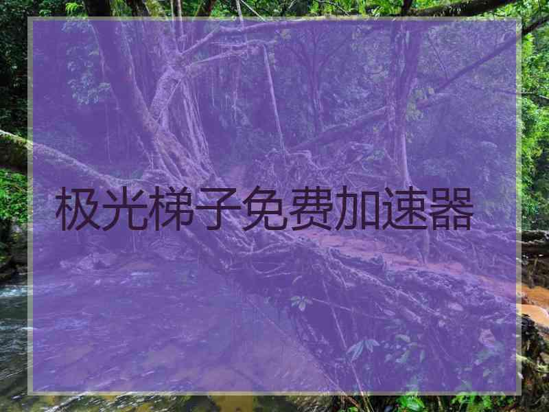极光梯子免费加速器