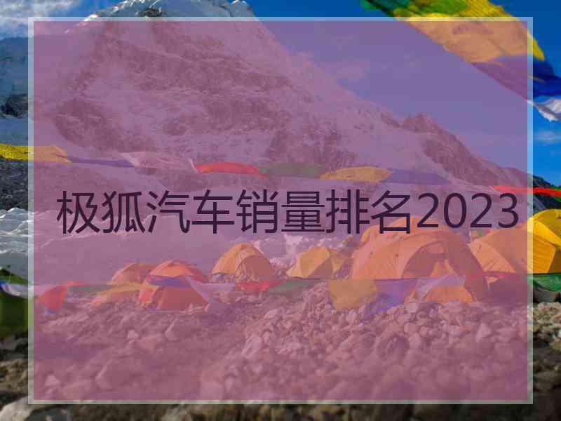 极狐汽车销量排名2023