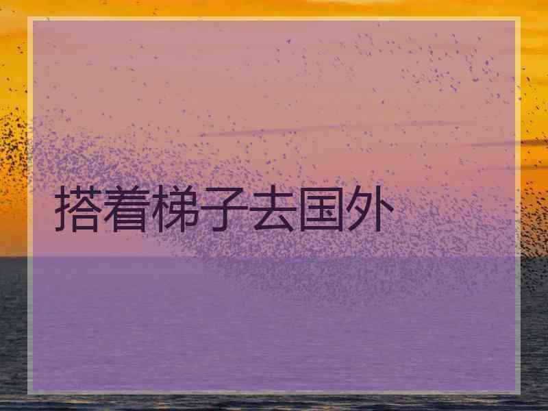 搭着梯子去国外