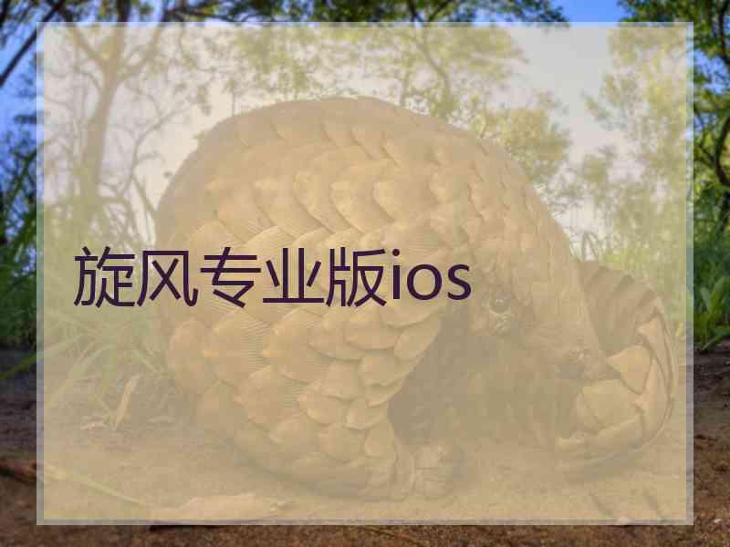 旋风专业版ios