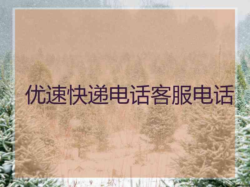 优速快递电话客服电话