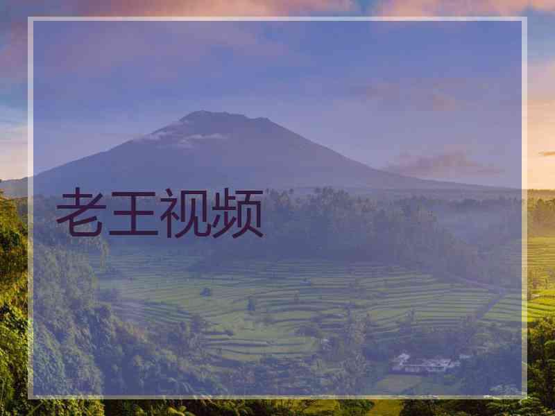老王视频