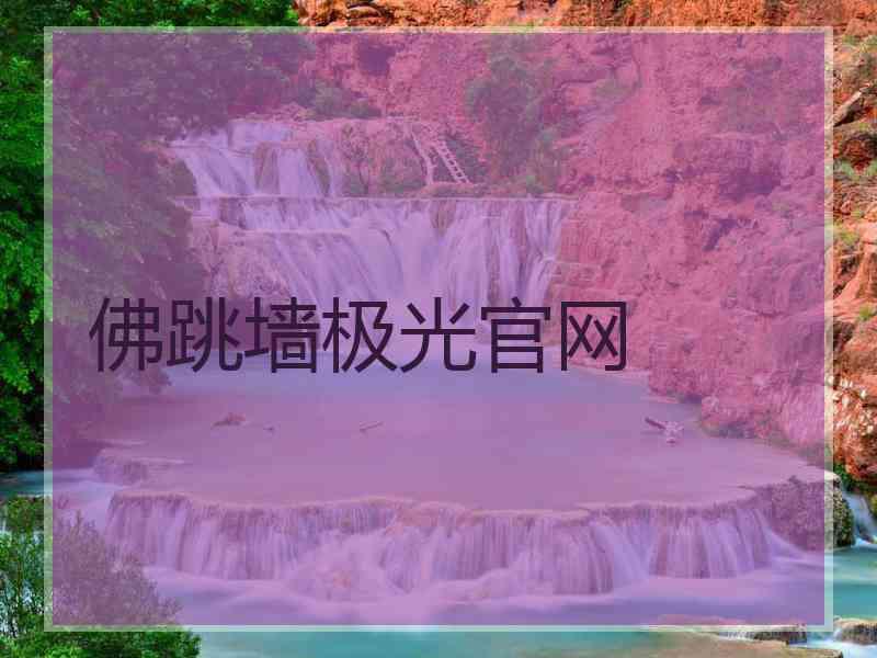 佛跳墙极光官网