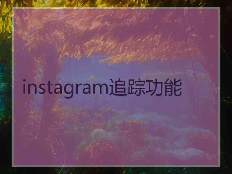 instagram追踪功能