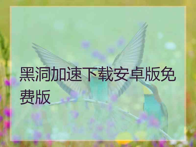 黑洞加速下载安卓版免费版