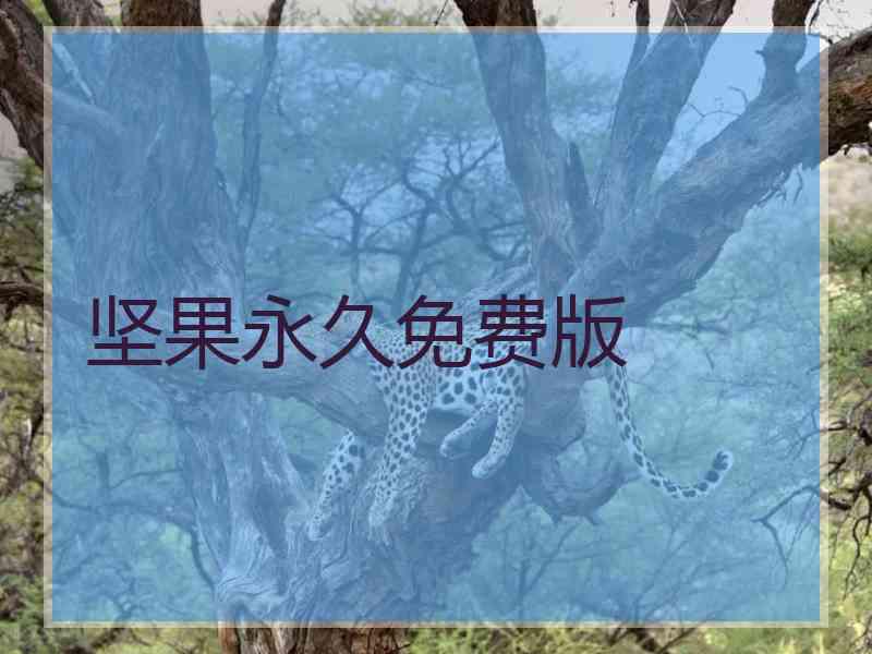 坚果永久免费版