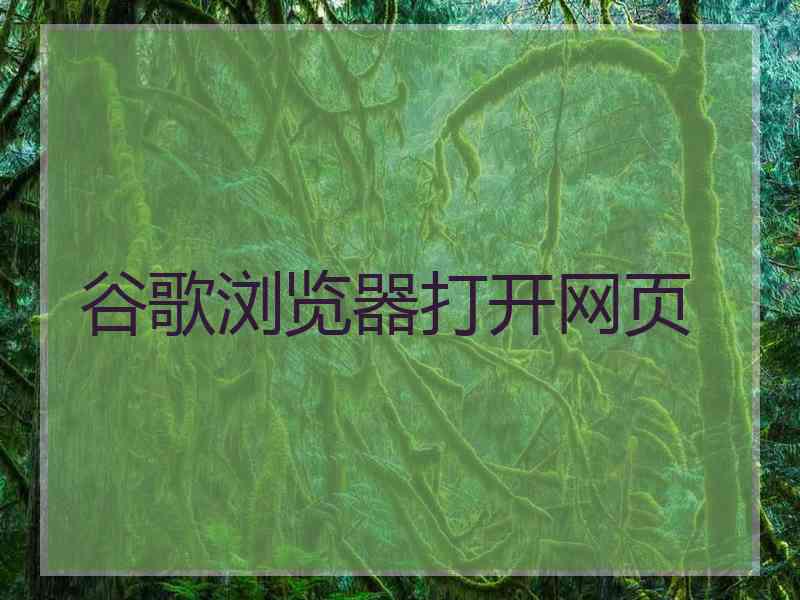 谷歌浏览器打开网页
