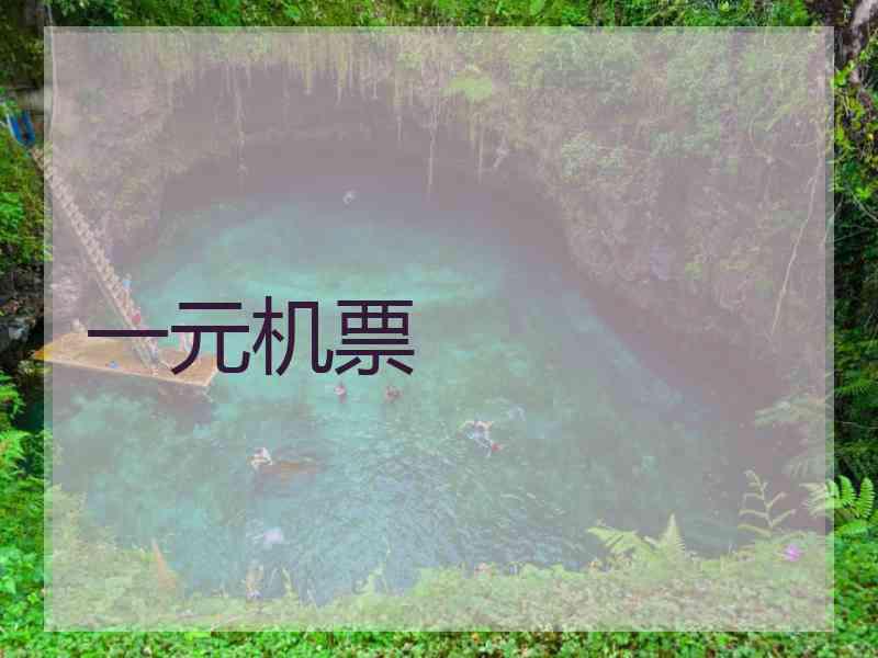 一元机票