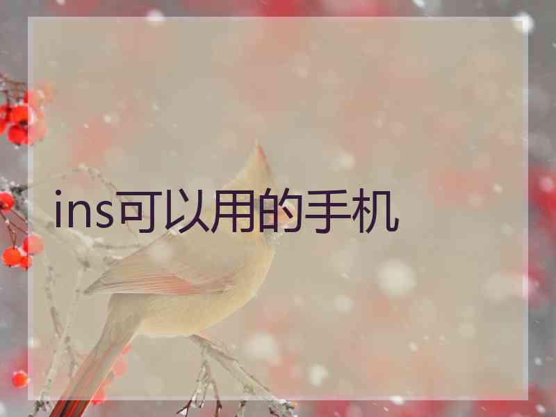 ins可以用的手机