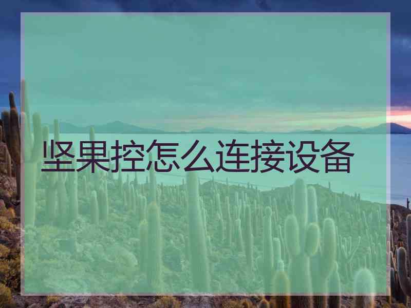 坚果控怎么连接设备