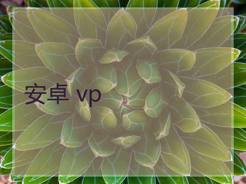安卓 vp