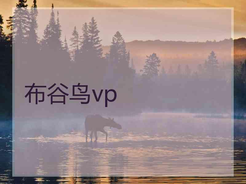 布谷鸟vp
