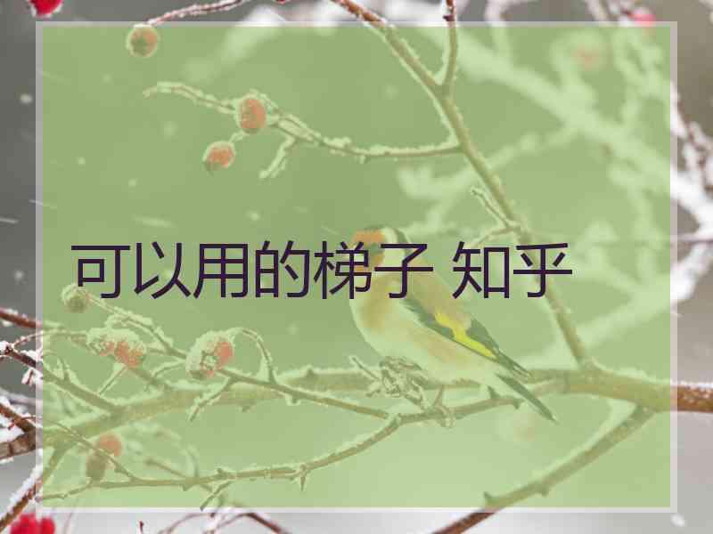 可以用的梯子 知乎