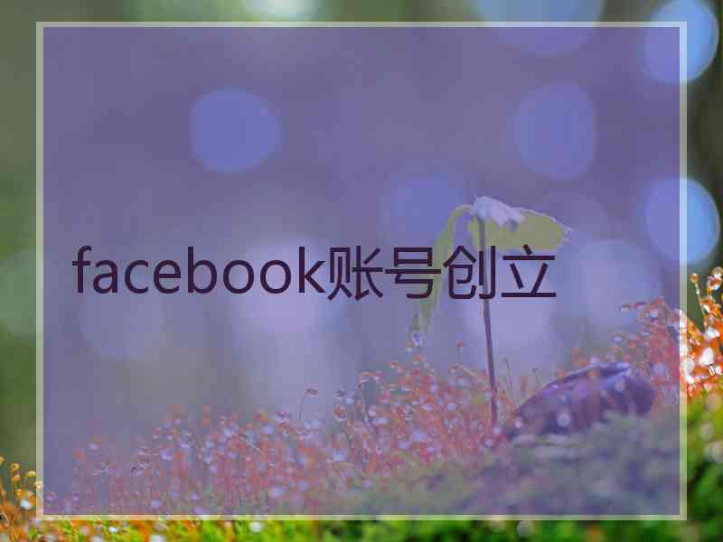 facebook账号创立