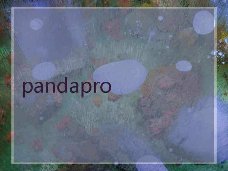 pandapro