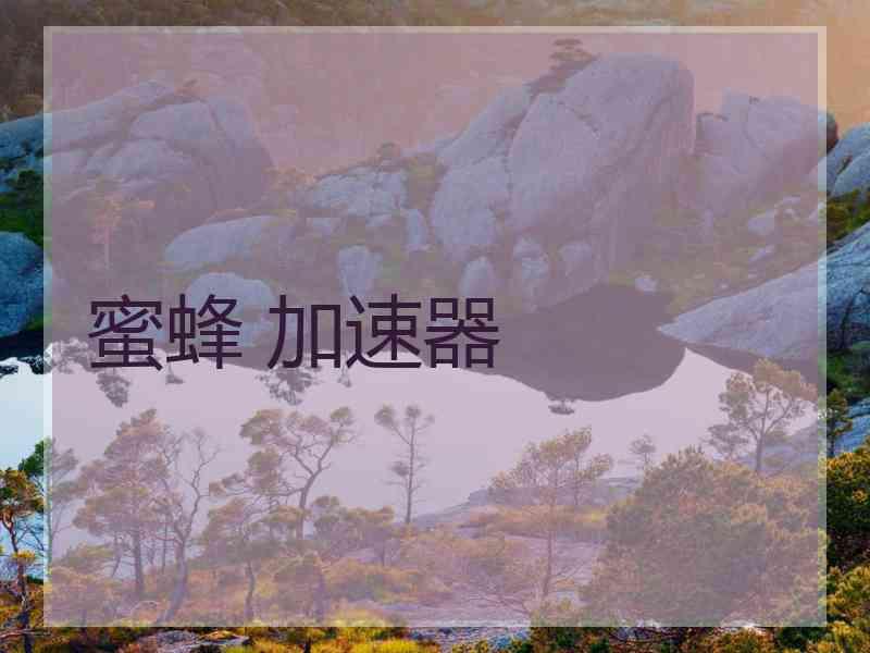 蜜蜂 加速器