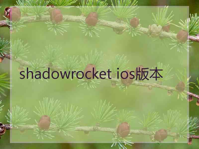 shadowrocket ios版本