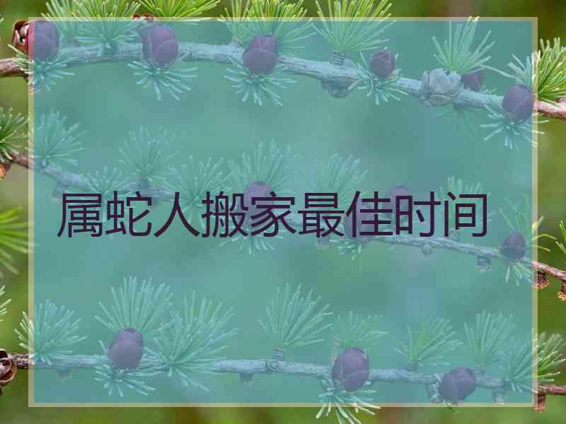 属蛇人搬家最佳时间