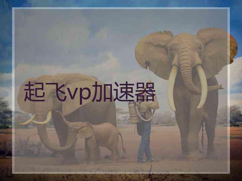 起飞vp加速器