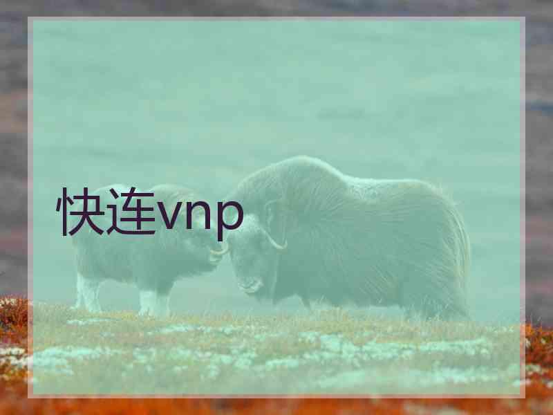 快连vnp