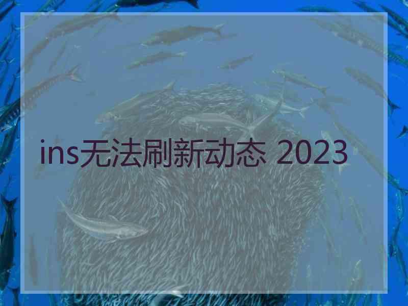 ins无法刷新动态 2023