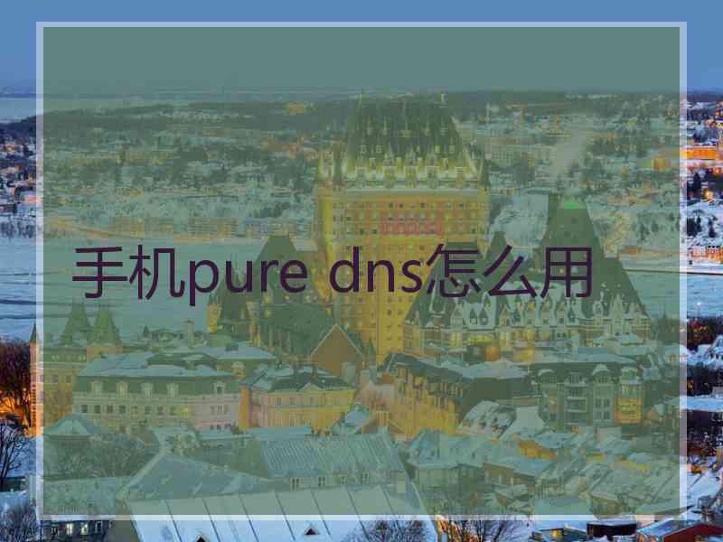 手机pure dns怎么用