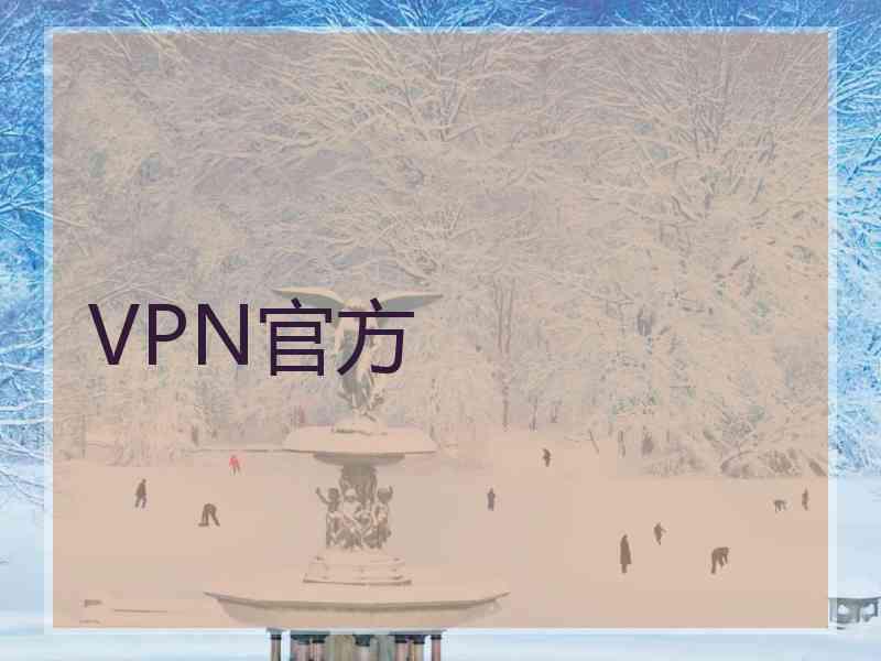 VPN官方