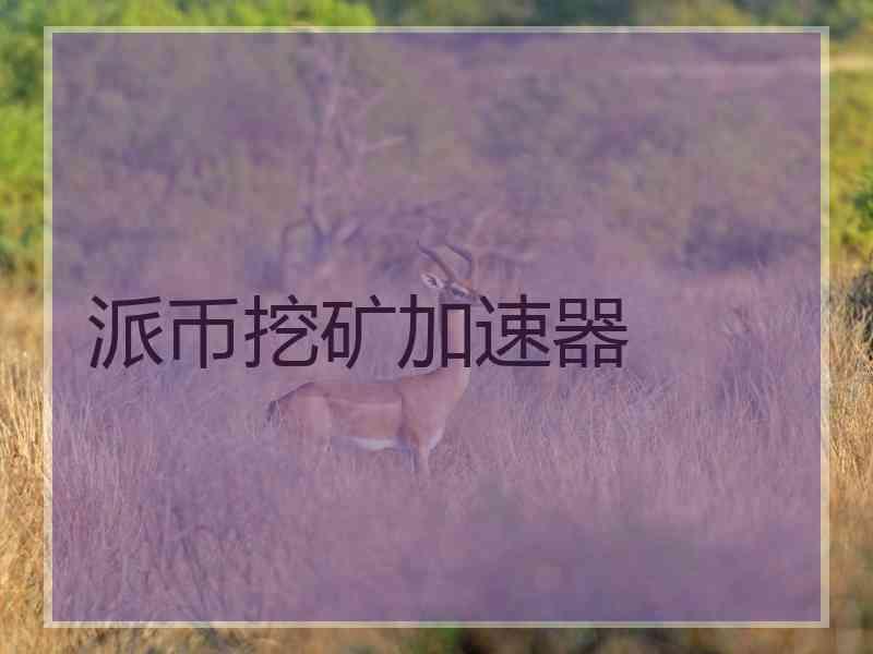 派币挖矿加速器