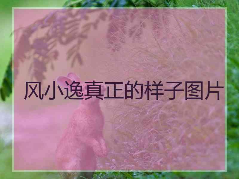 风小逸真正的样子图片