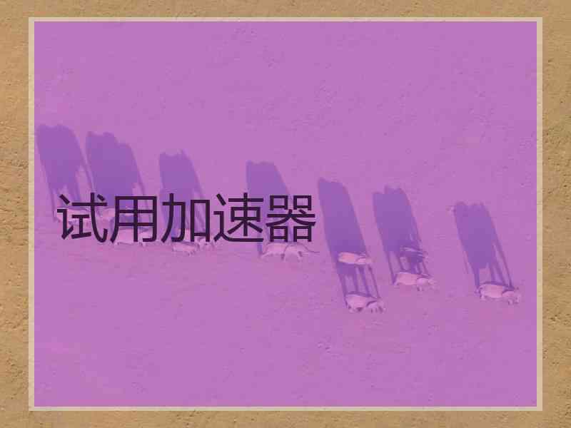 试用加速器