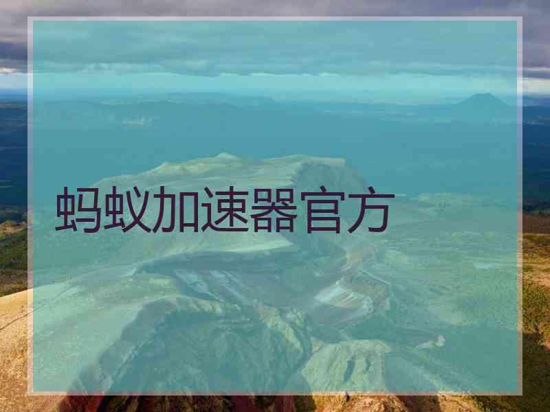 蚂蚁加速器官方