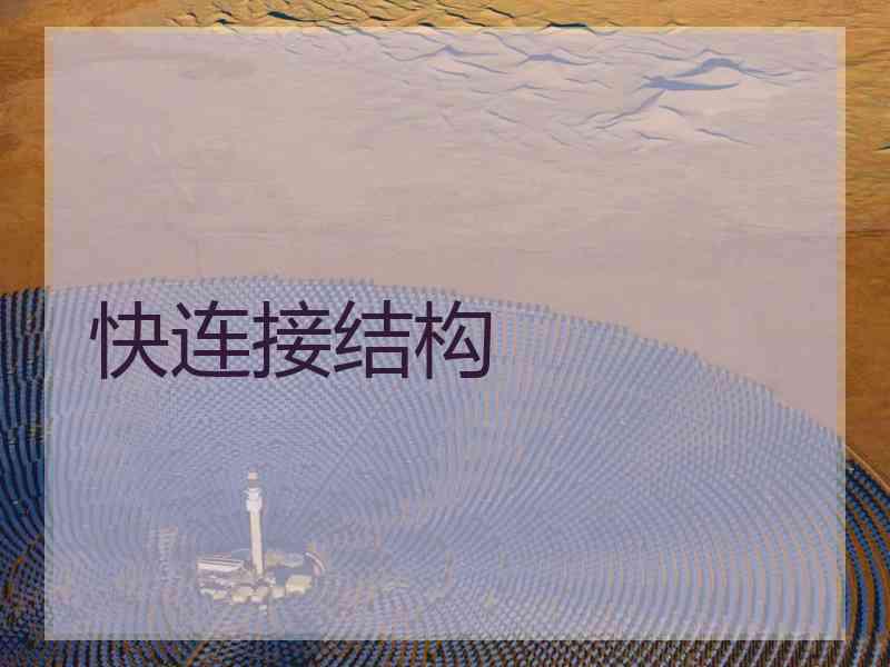 快连接结构