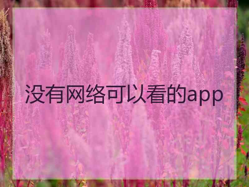 没有网络可以看的app