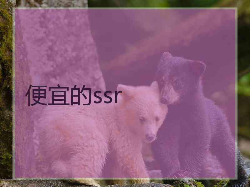便宜的ssr