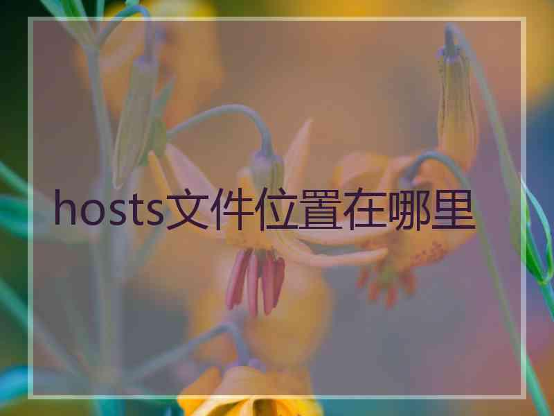 hosts文件位置在哪里