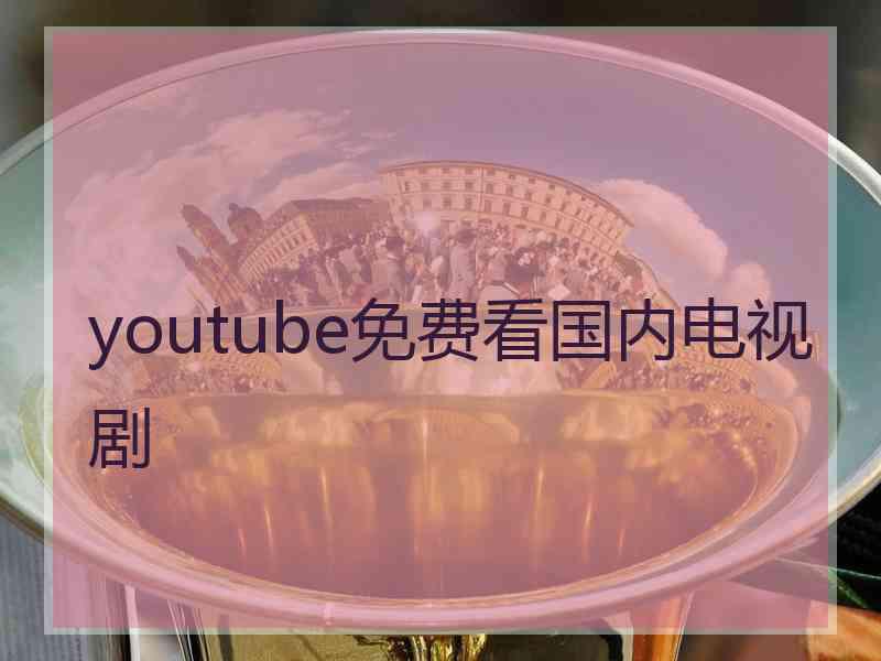 youtube免费看国内电视剧