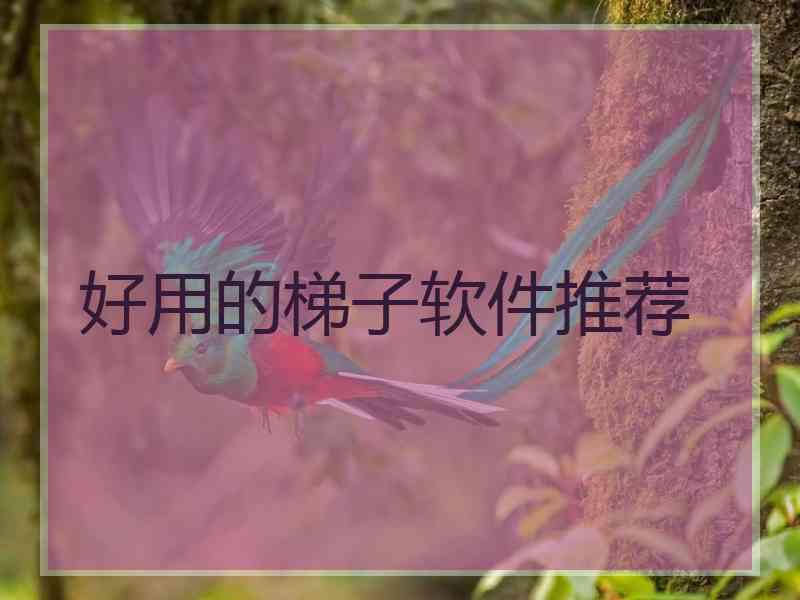 好用的梯子软件推荐